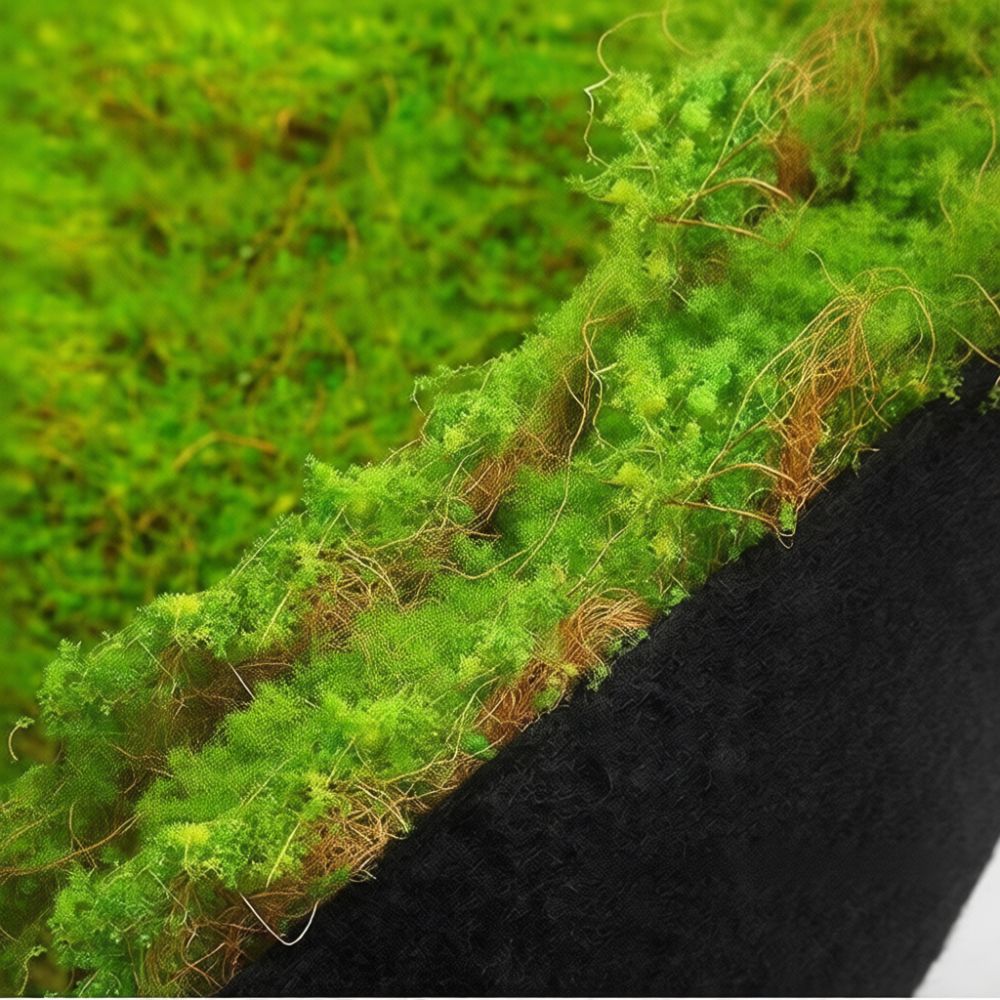 Tapis de gazon artificiel en f - Preserved Moss Sheet avis et prix