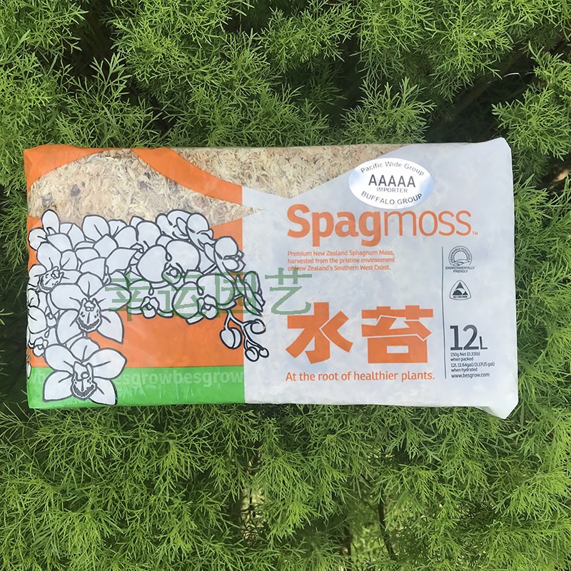 Mousse de Sphagnum 5A de Nouve - Preserved Moss Sheet avis et prix