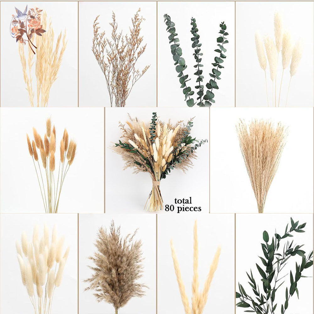 80 pièces de fleurs séchées na - Eucalyptus Preserved avis et prix