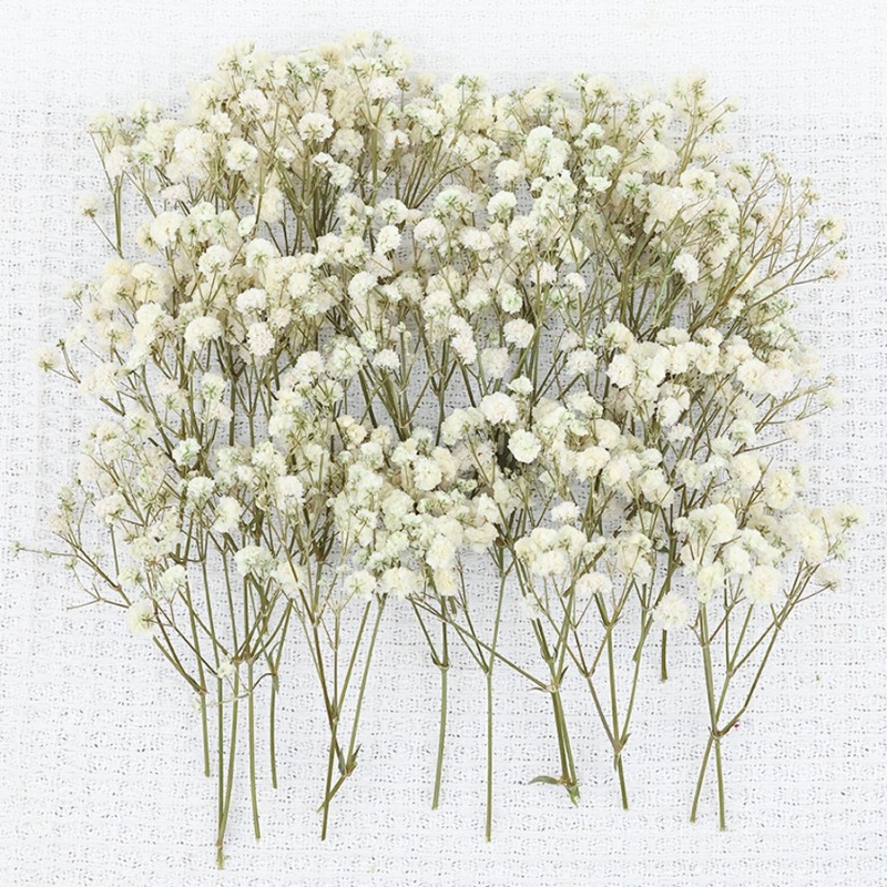 50 pièces de fleurs de gypsoph - Florist Supply Vases avis et prix