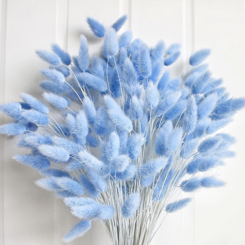 100 pièces bleu lièvre-queue h - Florist Supply Vases avis et prix