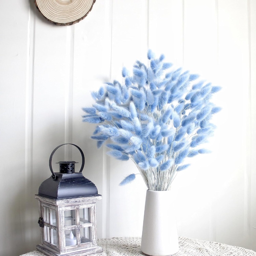 100 pièces bleu lièvre-queue h - Florist Supply Vases avis et prix