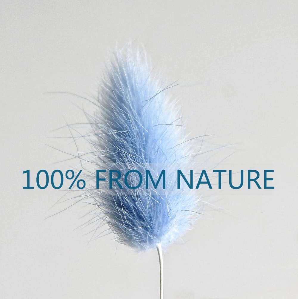 100 pièces bleu lièvre-queue h - Florist Supply Vases avis et prix